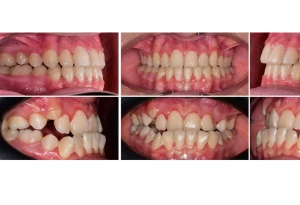 leslie north dental